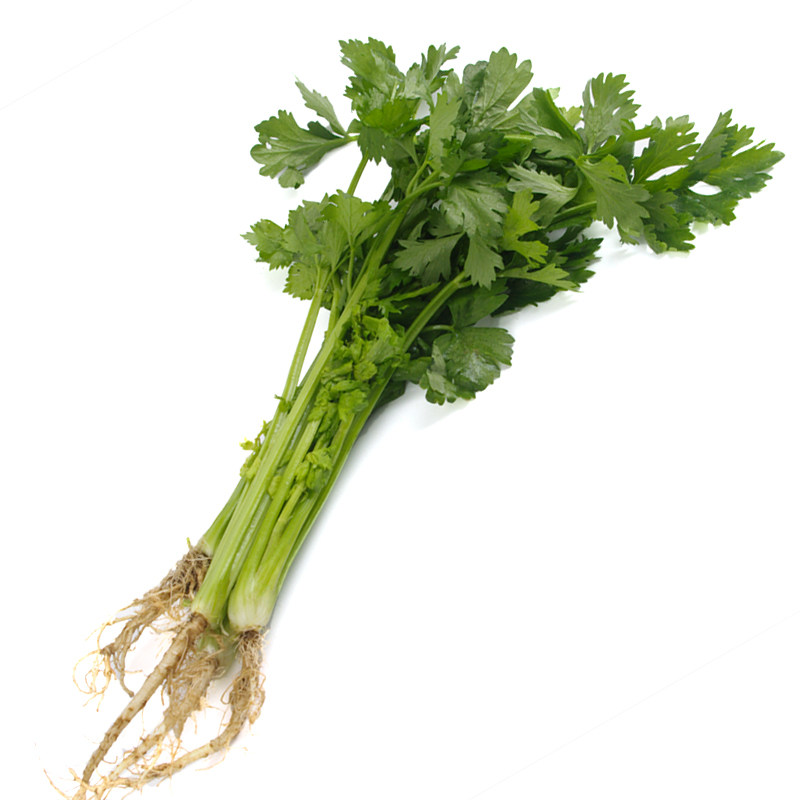 药芹芹菜500g情意绵绵黄芹新鲜蔬菜健康美食沃鲜汇菜市场生鲜
