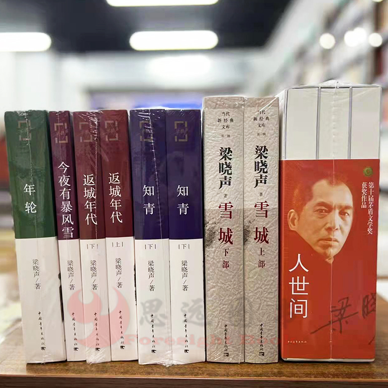 梁晓声作品集全套11册 人世间全套三册 雪城 知青 返城年代 年轮 今夜