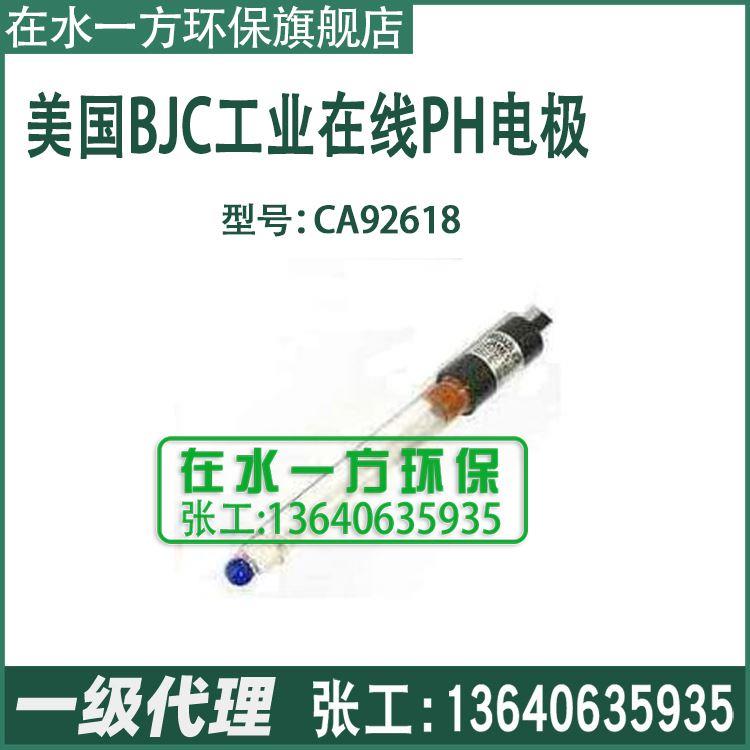 CA92618工业PH电极美国BJC在线PH探头BROADLEY-JAMES CORPORATION