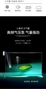 小凤仙户外增氧泵钓鱼专用便携式家用充氧泵大气量鱼缸交直流两用