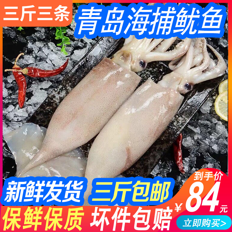 青岛大鱿鱼鲜活海鲜水产鲜活冷冻鱿鱼新鲜烧烤食材野生乌贼鱼墨鱼