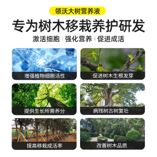 树木营养液大树吊针液果树输液袋移栽激活浓缩肥料植物生根通用型