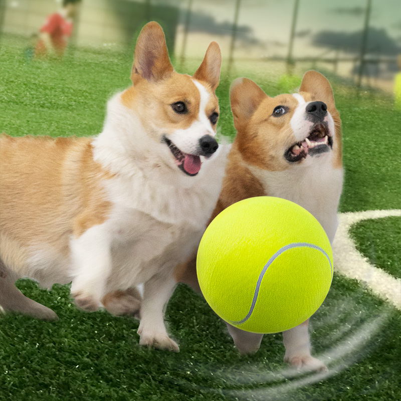 宠物狗狗玩具球十倍快乐球解闷神器互动大网球充气柴犬小中大型犬