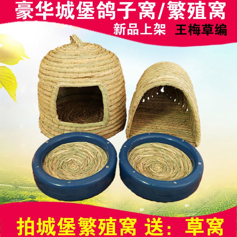 鸽子蛋窝