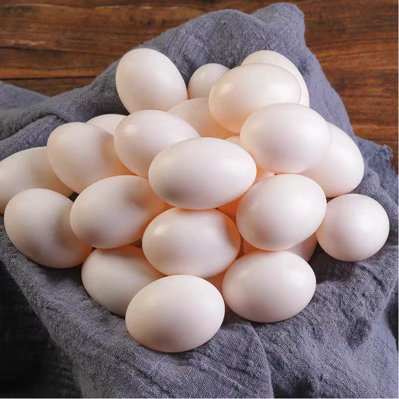 朴园60枚豪华大号鸽蛋优质新鲜鸽子蛋散养信鸽蛋土鸽蛋包邮顺丰