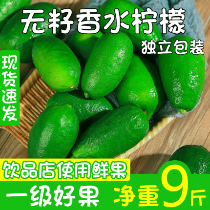 海南无籽香水青柠檬净重5斤新鲜一级果当季果饮品店使用整箱包邮