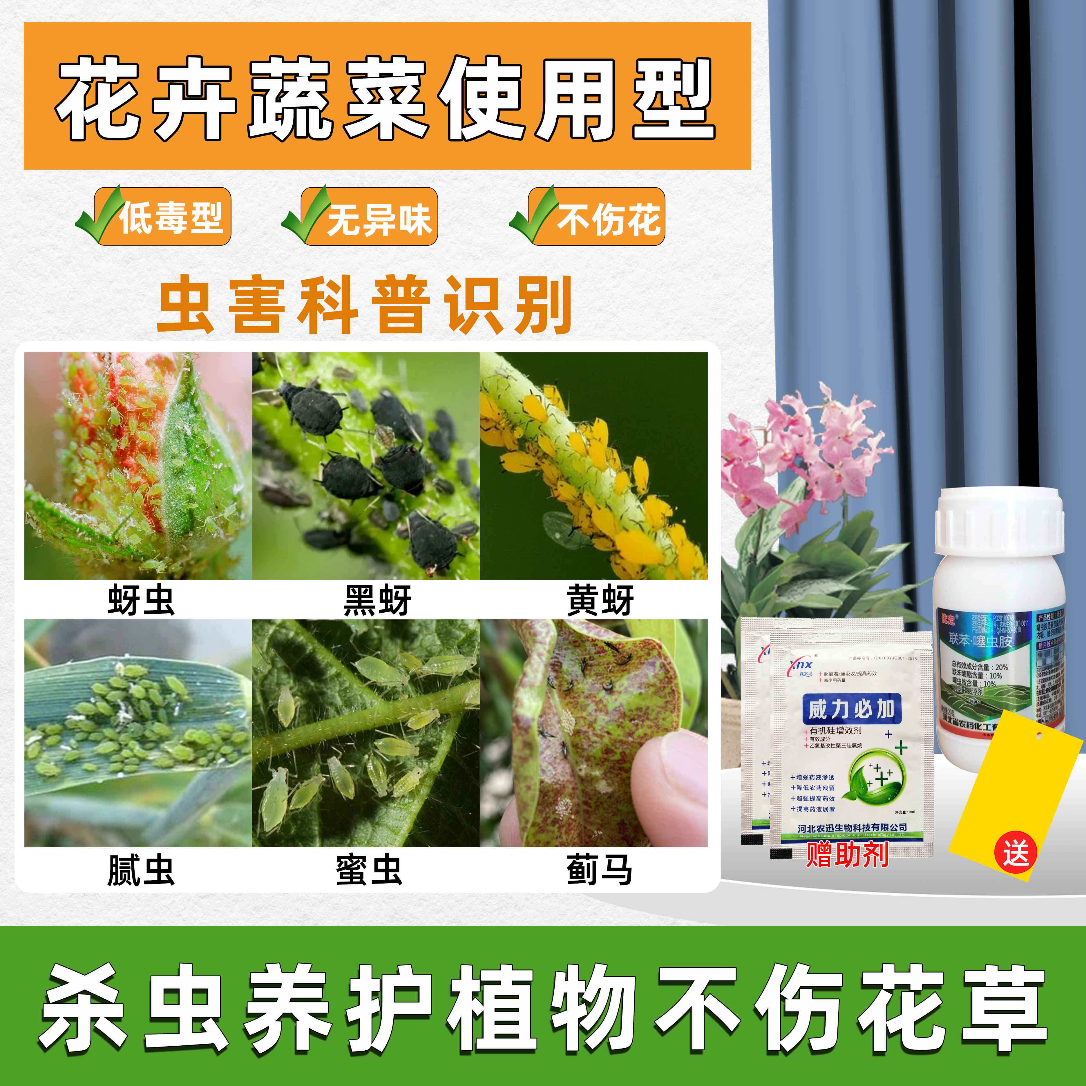 特价介壳虫 杀虫剂_家用植物蚜虫杀虫剂蓟马花卉植物药剂月季朱槿土里