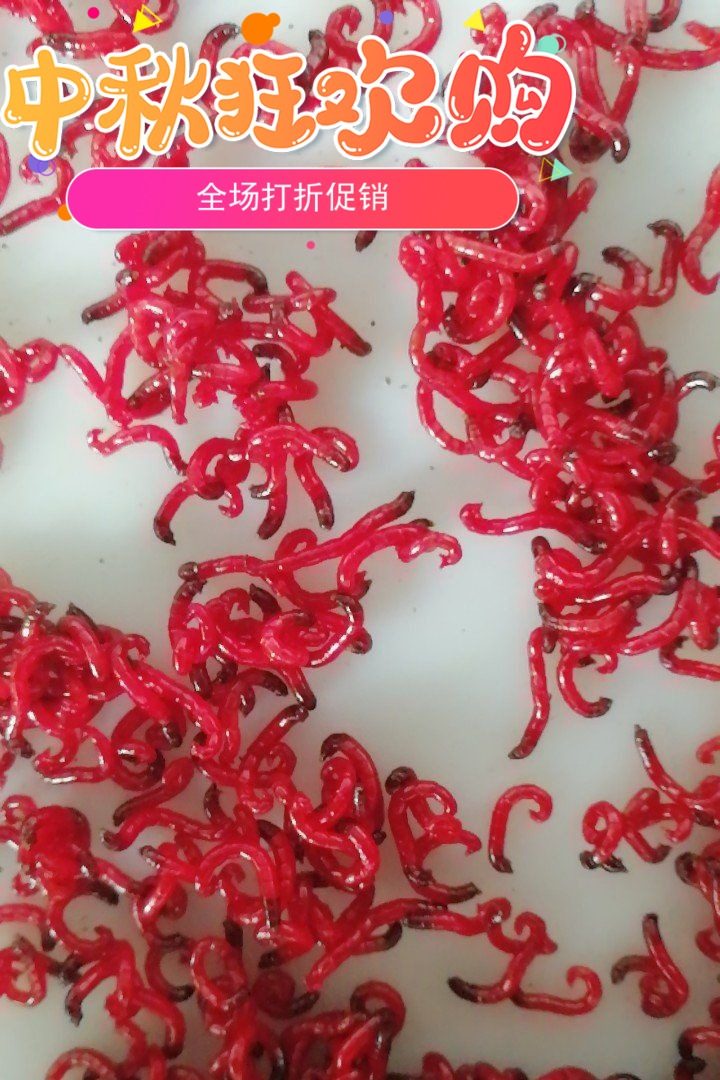 红虫活饵特大优惠券-搜券网