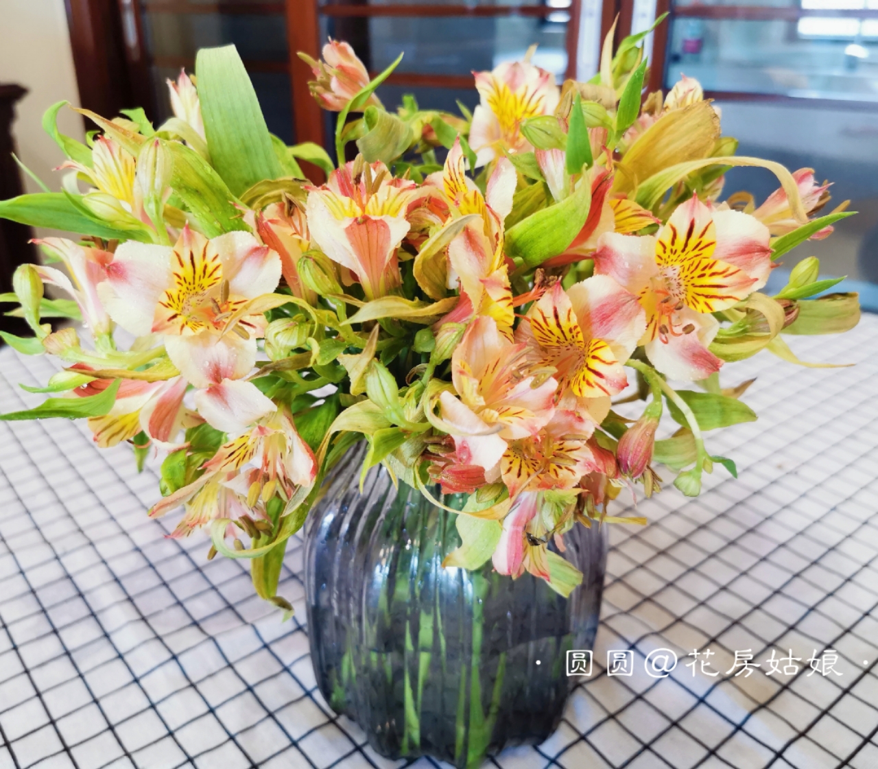 水仙百合鲜花_六出花鲜花秘鲁百合水仙百合鲜花鲜切花家庭鲜花水养