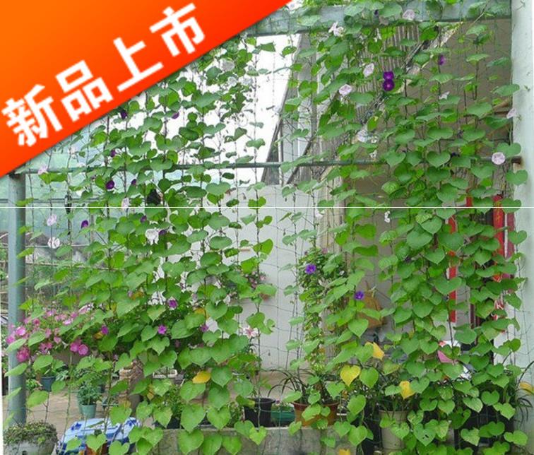 gardening Climbing Fence Petunia Climbing Net/Planting nylon net/Climbing Botany Plastic ropein the Flower delivery/Flowers simulation/Plants gardening , Gardening supplies , Other Garden Supplies category - from Buy2taobao.com to provide professional Taobao agent buy service