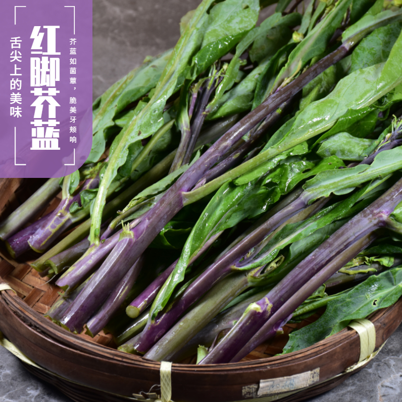潮汕新鲜红脚芥兰菜揭阳棉湖农家特产蔬菜紫红梗芥兰炒饭芥兰牛肉