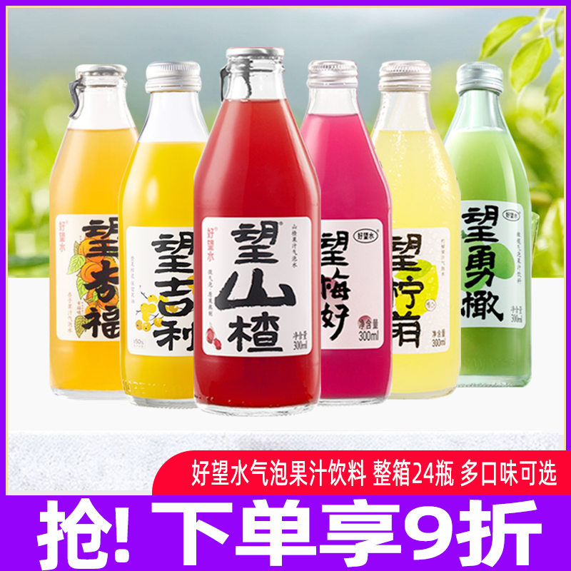 好望水望山楂气泡水饮料24瓶整箱梅