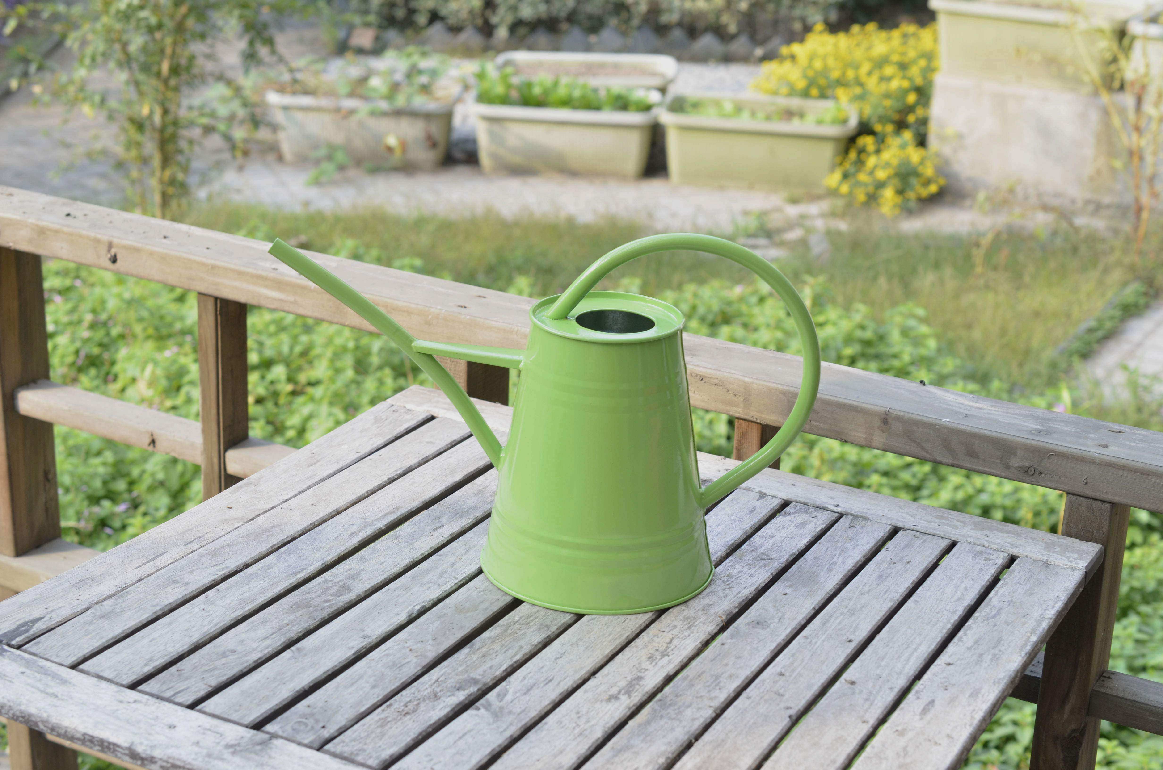 洒水水壶浇花长嘴欧美日韩铁皮园艺休闲多肉洒水