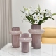 高端加厚高颜值玻璃花瓶插花水养百合花鲜花简约创意客厅摆件花器