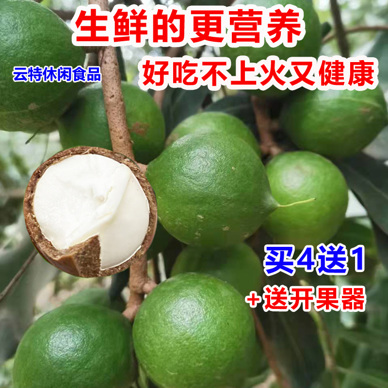 【坏1赔3】云南新鲜夏威夷果原味生