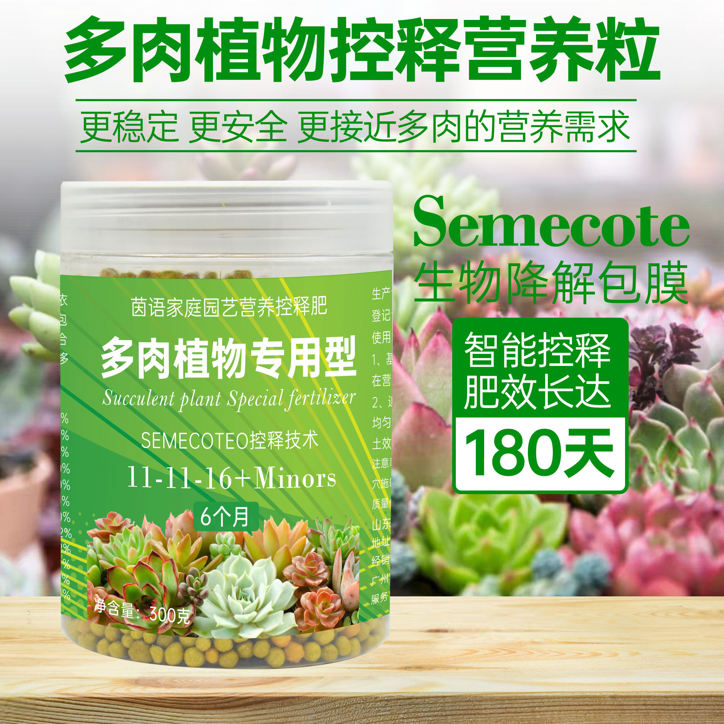 多肉植物专用控释颗粒肥料盆栽肉肉营养粒营养液肉嘟嘟底肥缓释肥