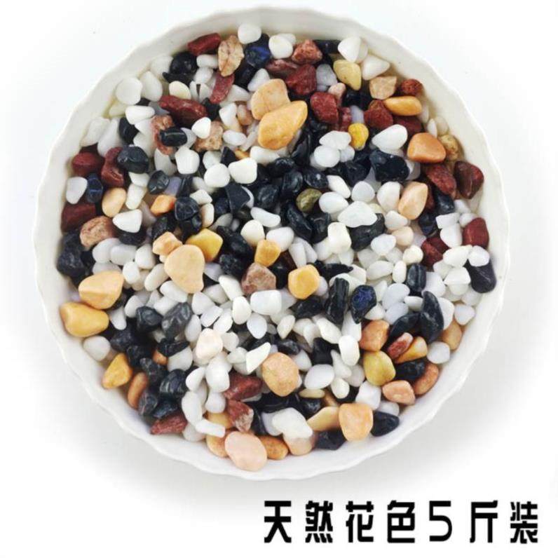 白石子放鱼缸造景沙小绿植石子儿童花瓶包邮多肉白色仿水晶地在类目 鲜花速递/花卉仿真/绿植园艺, 园艺用品, 其它园艺用品中 - 来自Buy2taobao.com提供专业的淘宝代购服务
