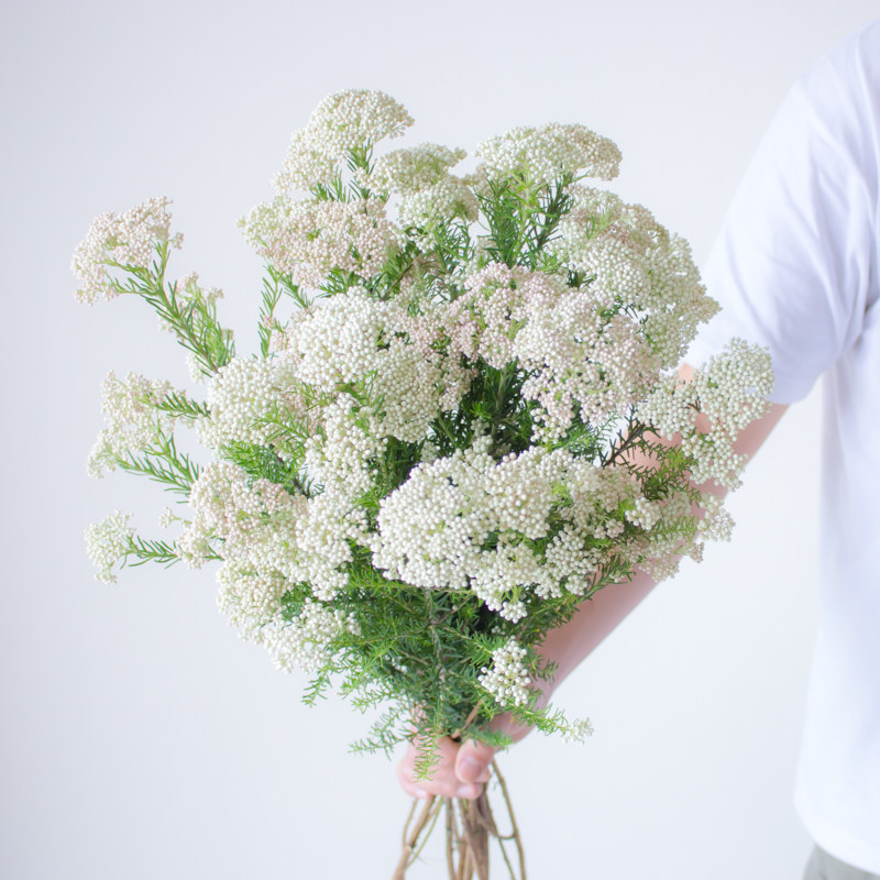 米花鲜花云南昆明基地顺丰直发干花