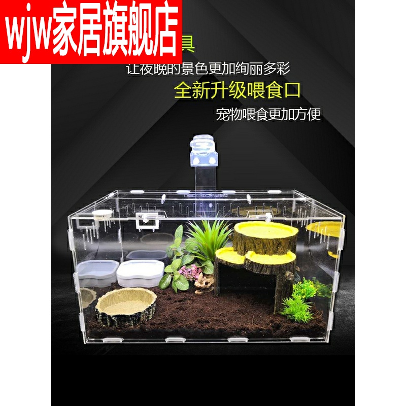 守爬虫箱蜥蜴透明宫甲虫蟹盒子饲养箱亚克力寄居饲养蜘蛛爬宠|ruв категории животное/Животное питание и принадлежностей, рептилии/насекомых и принадлежностей, рептилии/насекомых приборов - от Buy2taobao.com для оказания профессиональной услуги покупки агента Taobao