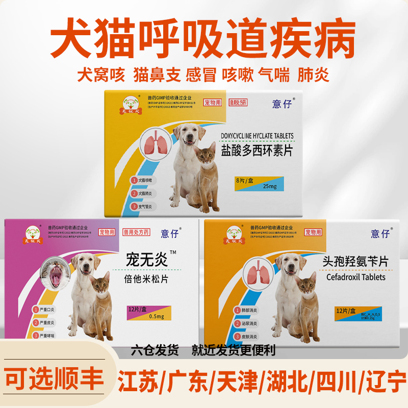 头孢羟氨苄片狗狗猫咪犬窝咳感冒咳嗽