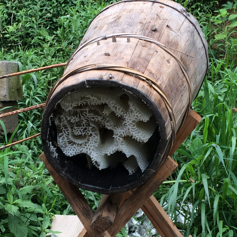 圆土蜂桶诱蜂老杉木蜂箱蜜蜂桶箱野密成品全套养峰工具中峰桶包邮