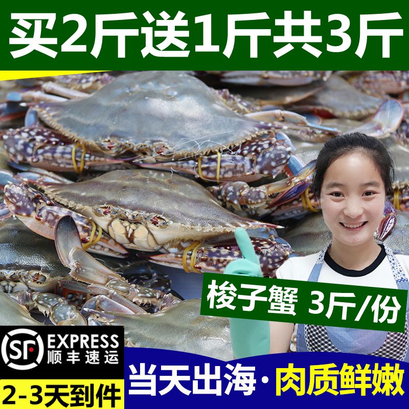 梭子蟹野生海鲜海捕野生鲜活母飞蟹新鲜水产螃蟹海蟹公母蟹3斤装|msdalam kategori daging perikanan/Buah-buahan segar dan sayur-sayuran/dimasak, makanan laut/produk akuatik/produk, ketam, 梭子蟹 - dari Buy2taobao.com untuk memberikan perkhidmatan ejen Taobao profesional membeli
