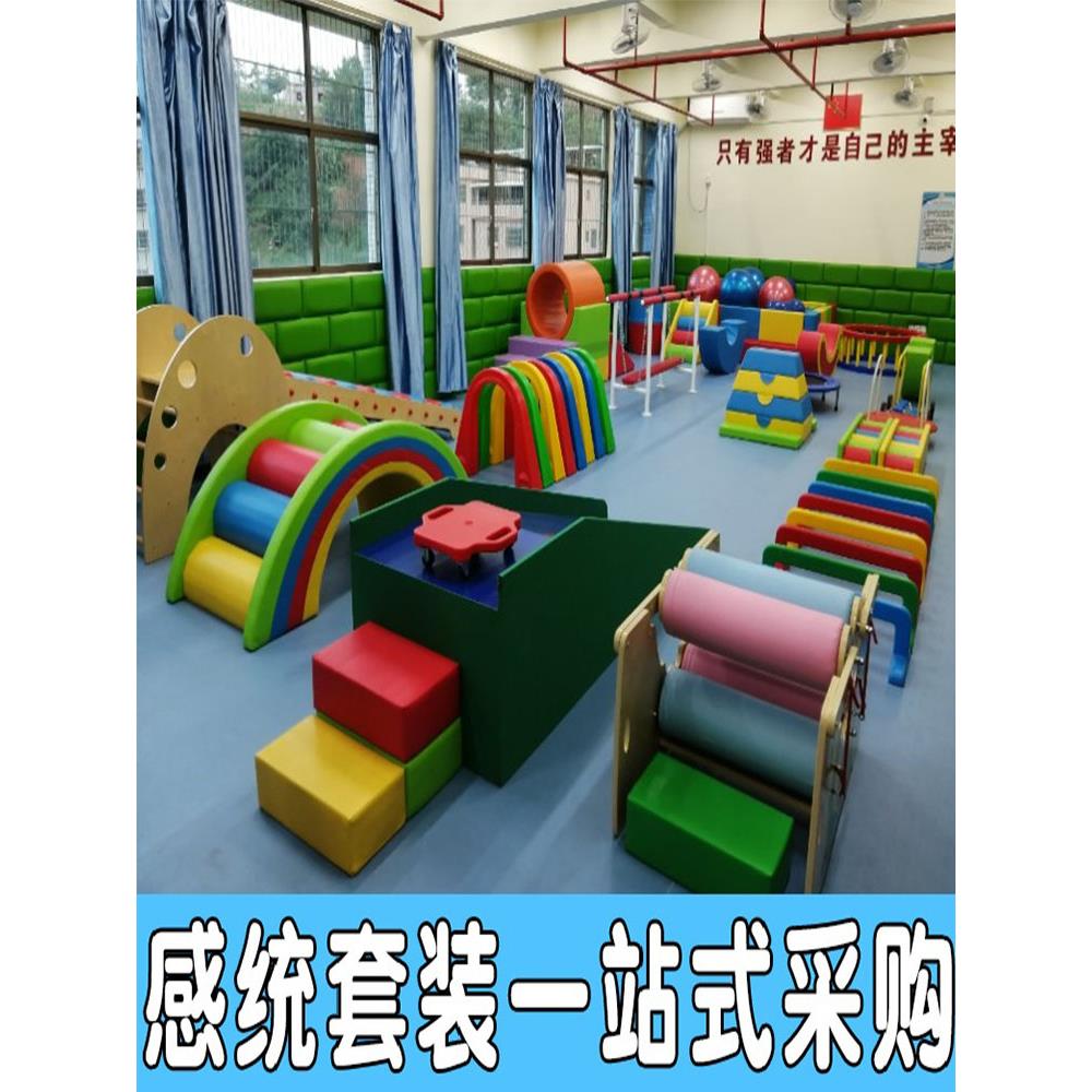 感统训练器材全套儿童早教幼儿室内体能运动玩具感统教具组合
