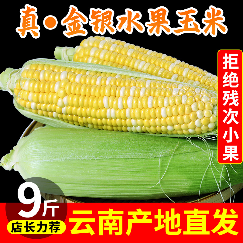 云南金银水果玉米9斤新鲜当季蔬菜生