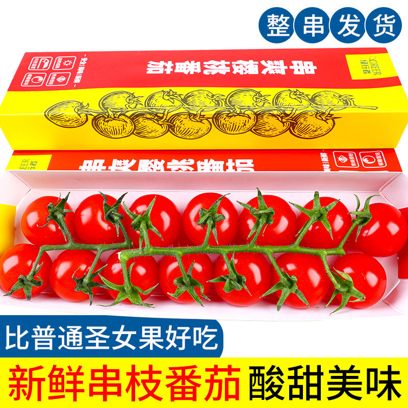 串收樱桃小番茄4盒生吃水果玲珑小柿