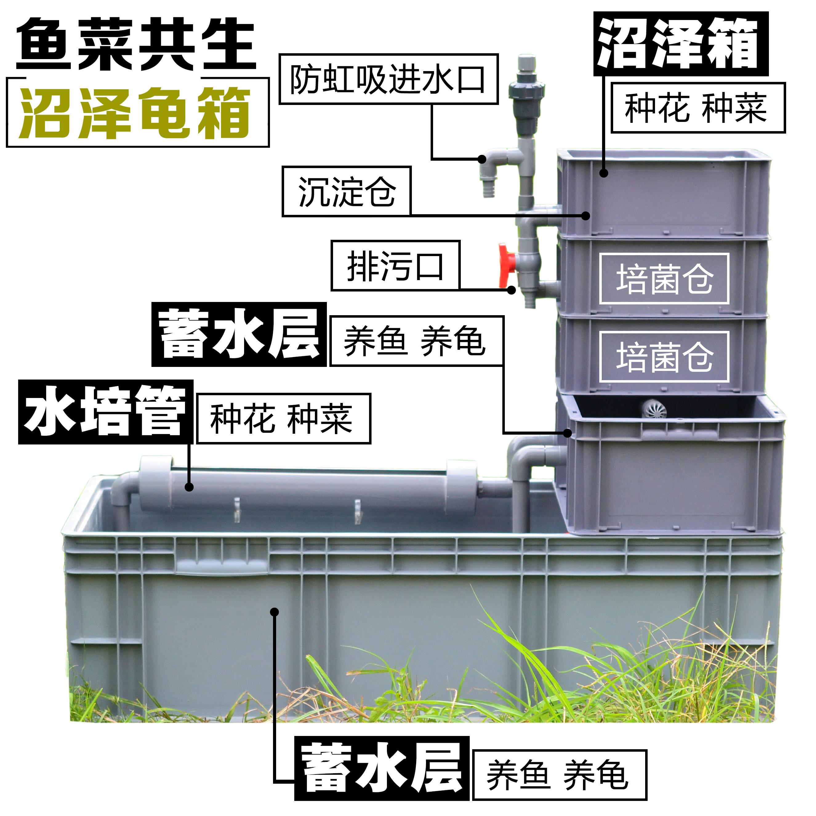 沼泽过滤图解制作图片