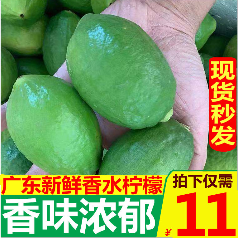 现摘广东香水青柠檬5斤柠檬新鲜应当季水果酸爽多汁批发包邮在类目 水产肉类/新鲜蔬果/熟食, 新鲜水果, 柠檬中 - 来自Buy2taobao.com提供专业的淘宝代购服务
