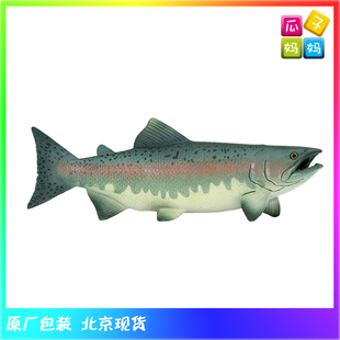 Safari 鲑鱼 大麻哈鱼 三文鱼仿真海洋动物模型玩具2019年100205