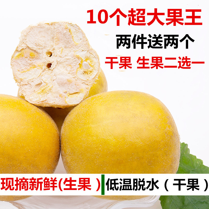 现摘新鲜罗汉果生果桂林永福特产低温脱水冻干黄金特级特大果新果|msdalam kategori makanan ringan/Nuts/Specialty, Manisan/jujube/Plum/buah-buahan kering, manggis - dari Buy2taobao.com untuk memberikan perkhidmatan ejen Taobao profesional membeli