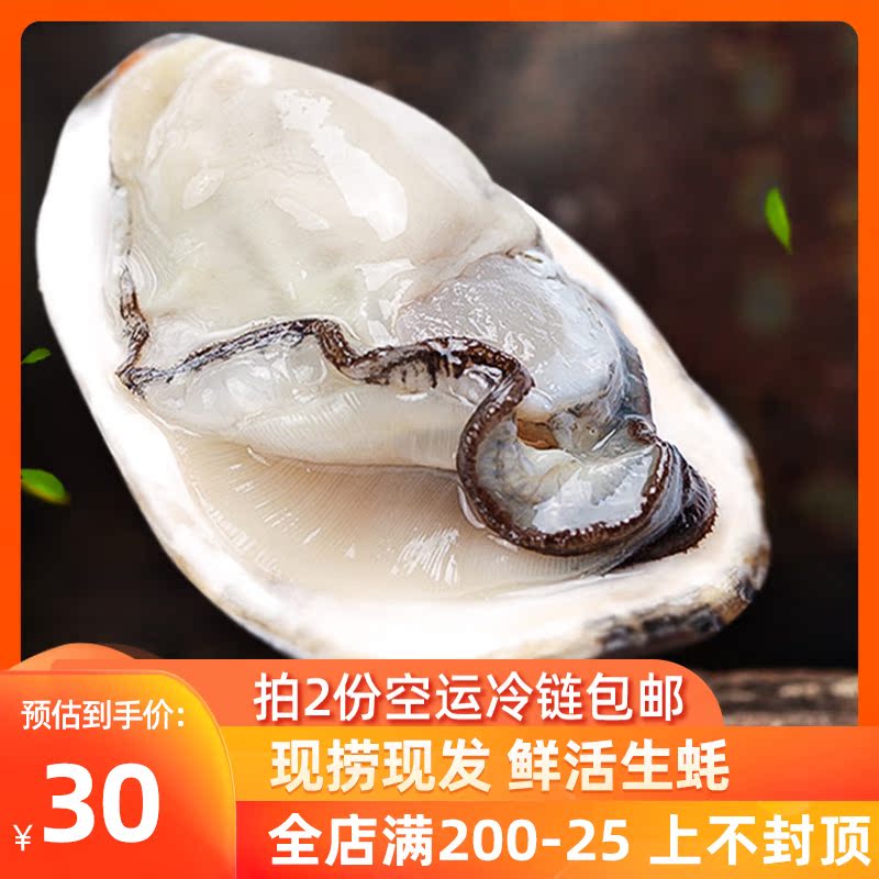 青岛红岛带壳海蛎子新鲜带壳牡蛎生蚝冰鲜贝类海鲜 2斤装在类目 水产肉类/新鲜蔬果/熟食, 海鲜/水产品/制品, 贝类, 生蚝中 - 来自Buy2taobao.com提供专业的淘宝代购服务