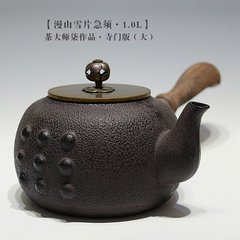 茶大师漫山雪片茶铫 铸铁茶壶 急须 生铁茶壶 秒杀日本南部老铁壶