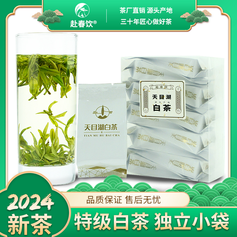 2024新茶 溧阳绿茶 天目湖白茶 独立小袋装 高山明前茶 40克