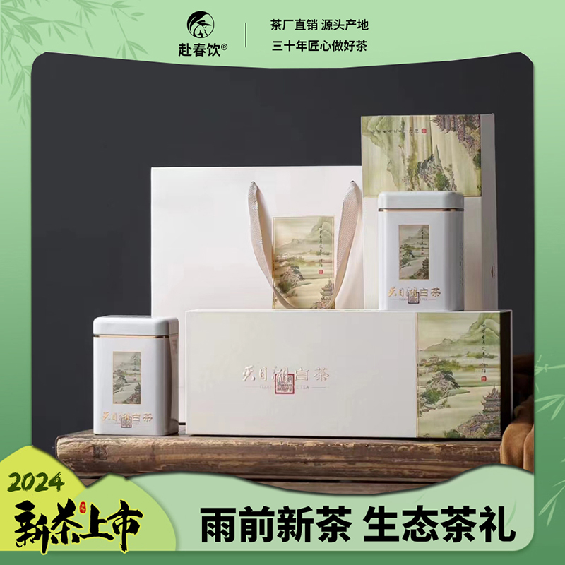 2024新茶绿茶正宗 天目湖白茶 溧阳绿茶实惠高山雨前礼盒装 250g