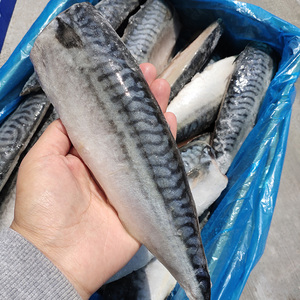 冻青花鱼片价格