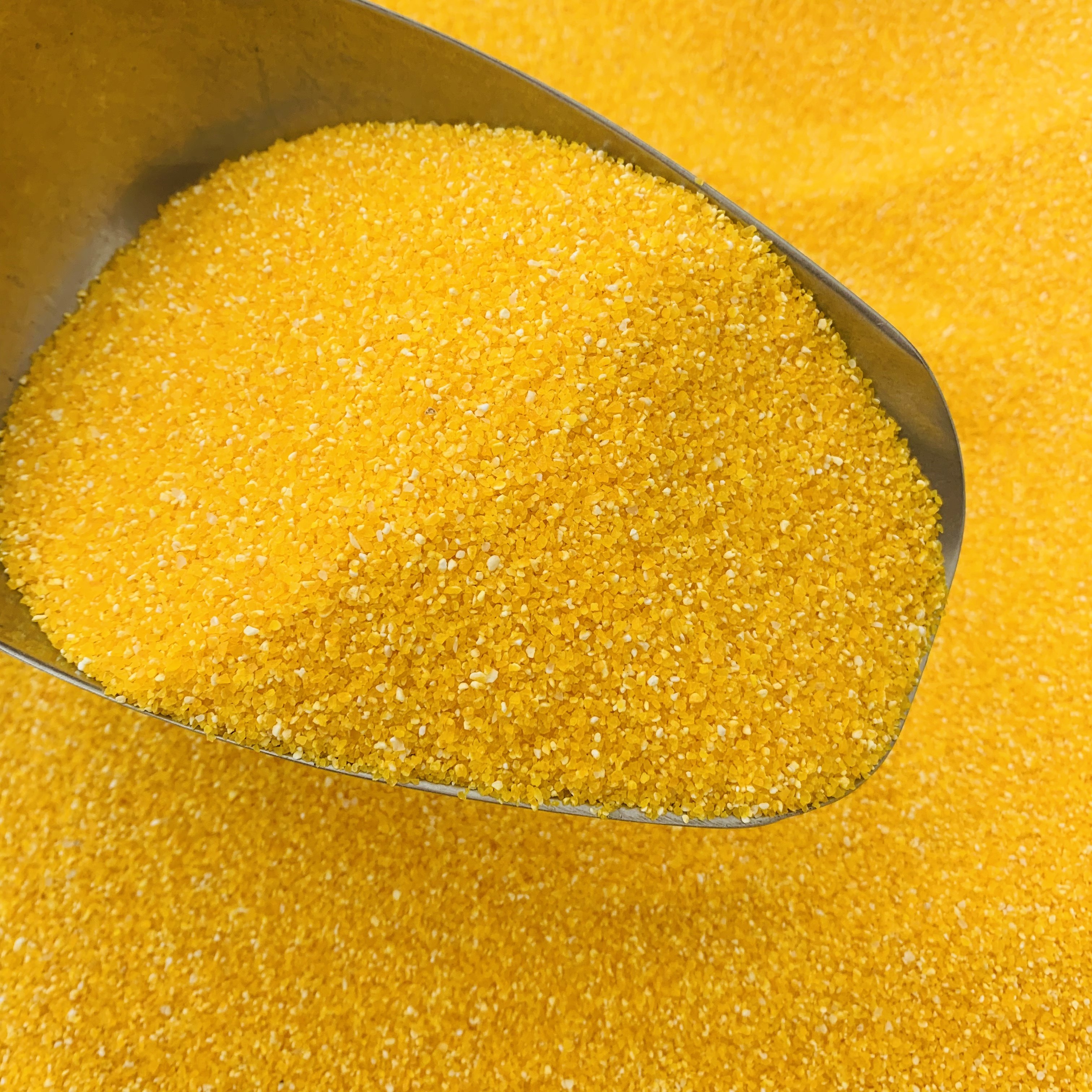 农家黄玉米玉米棒子渣粥小渣5斤装玉米