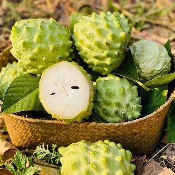 老树现摘牛奶凤梨释迦果攀枝花番荔枝佛头果当季新鲜水果采摘包邮