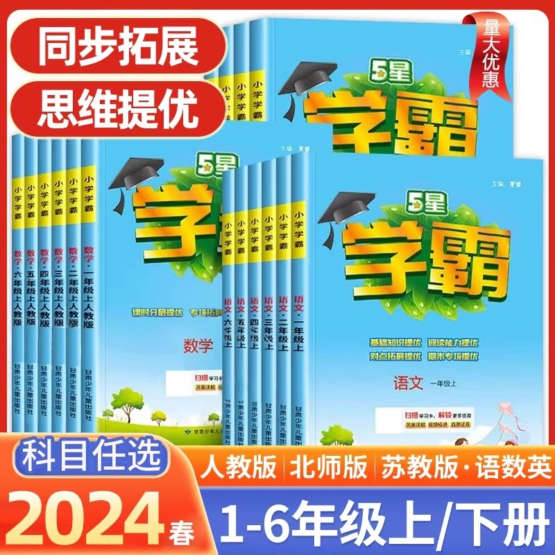 2024五星小学学霸一二年级下册三