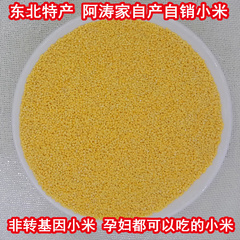 东北特产五常黄小米2016新米农家小米有机五谷杂粮食小米月子米粥