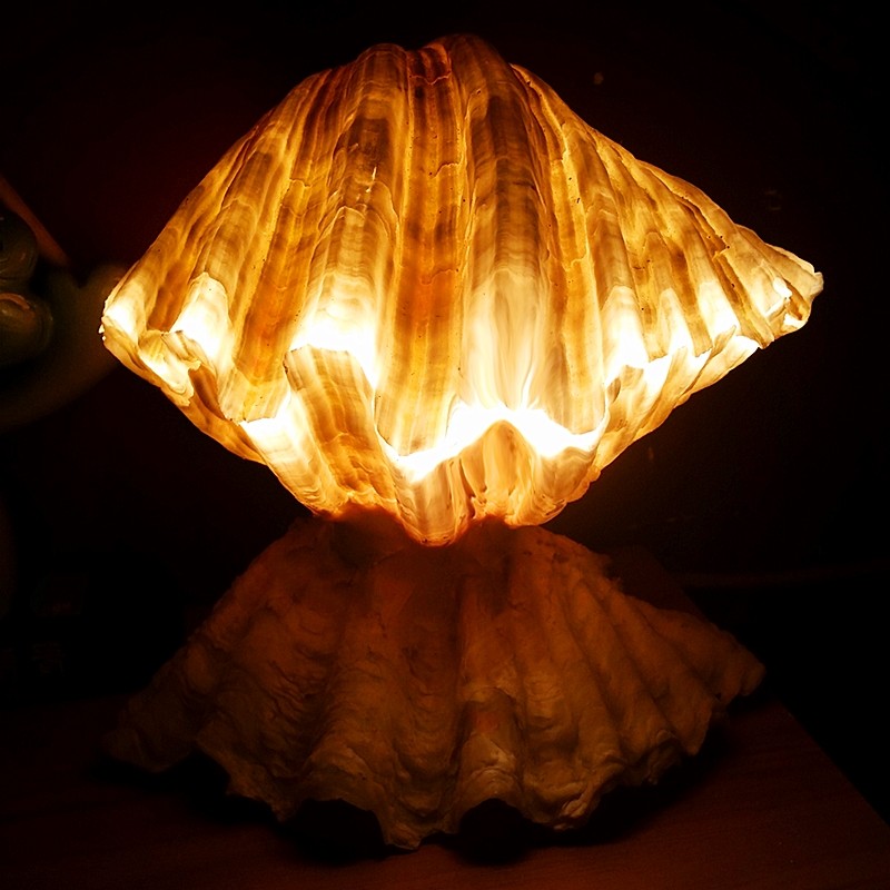 天然超大贝壳海螺台灯鱼缸造景地中海海洋装饰居家摆件卧室台灯——名