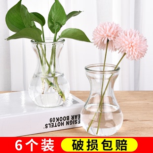 创意简约玻璃花瓶透明水培绿萝植物花瓶花盆风信子插花瓶客厅摆件