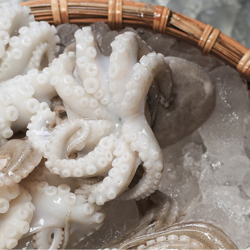 特价小八爪鱼鲜活500_东山岛野生小章鱼花高智商小八爪鱼海鲜新鲜活