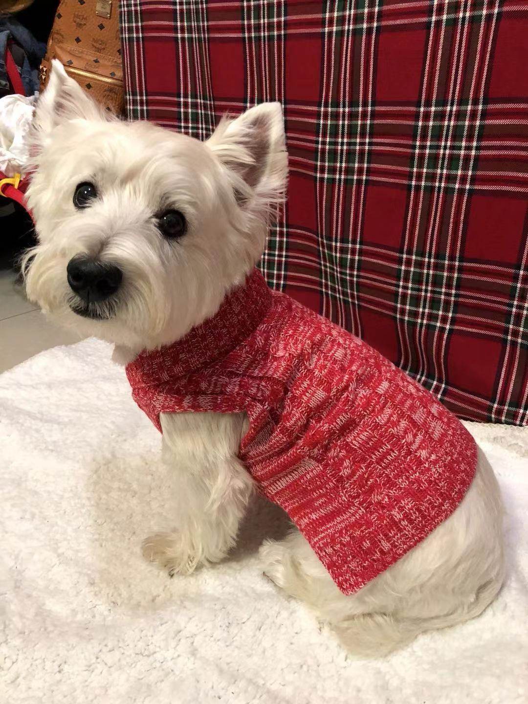 衣服小狗萨摩杜宾大无袖全棉棉线针织衫毛衣西高狗宠物服装