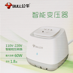 公牛变压器220V转110V 洗牙器美德乐吸奶器电动牙刷等60W内电器用