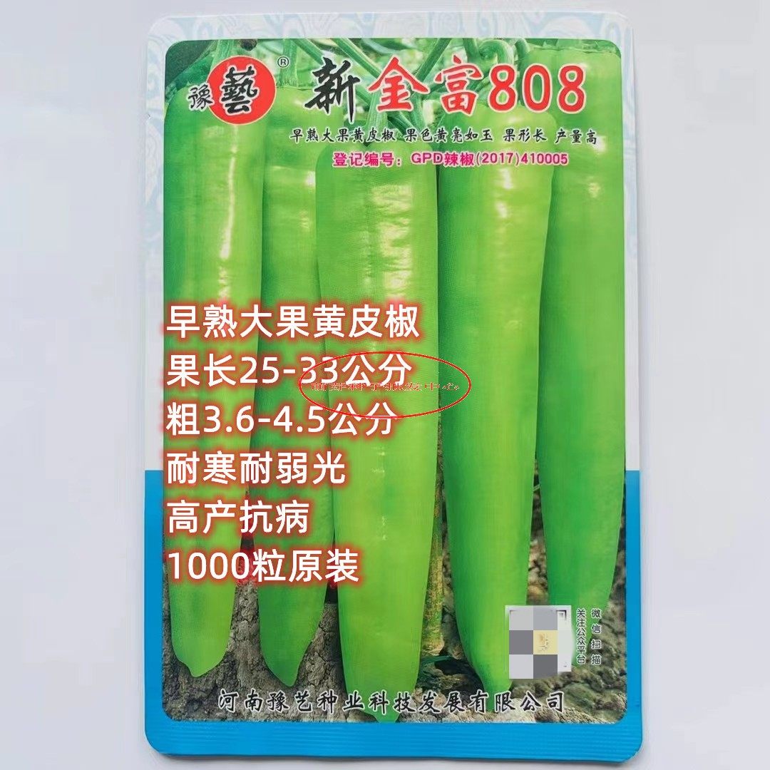 新金富808辣椒种子豫艺种业黄皮尖椒羊角椒1000粒春秋大棚种植