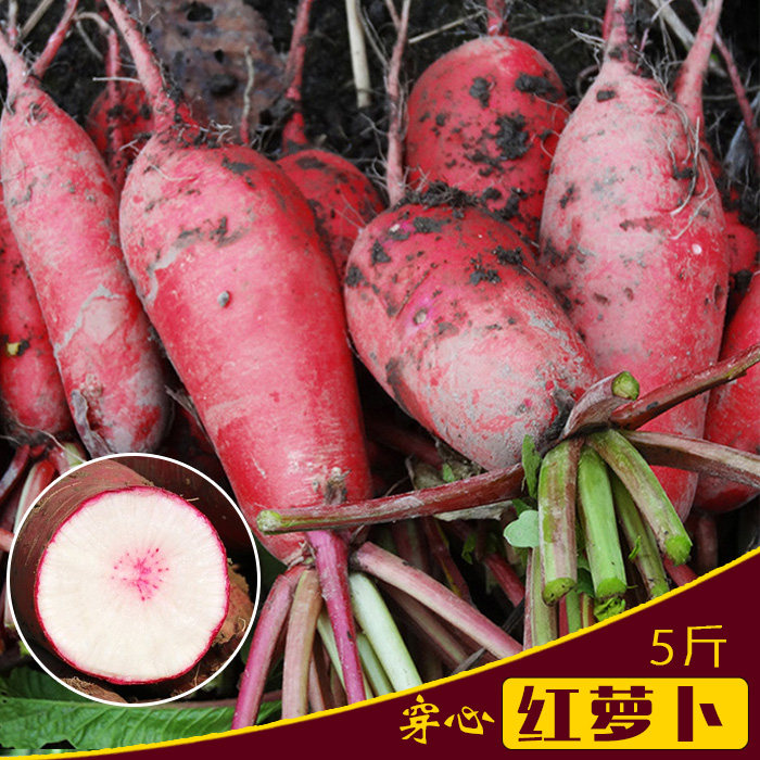 5斤新鲜穿心红萝卜现拔现发甜脆微辣农家紫皮胡萝卜徐州邳州特产