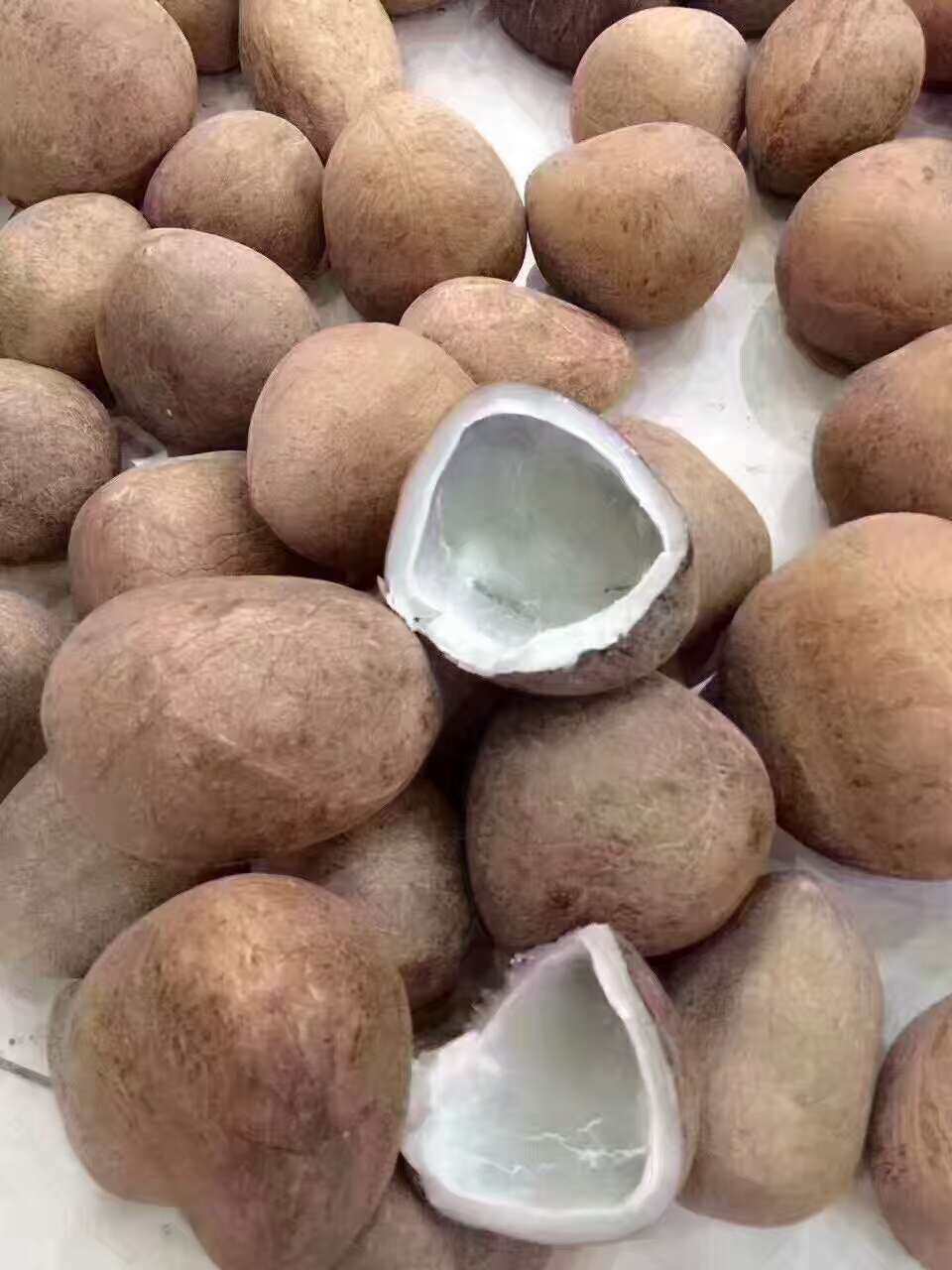 丹草氏印度椰子皇干椰子海椰皇椰子王进口煲汤干吃500g3个包邮